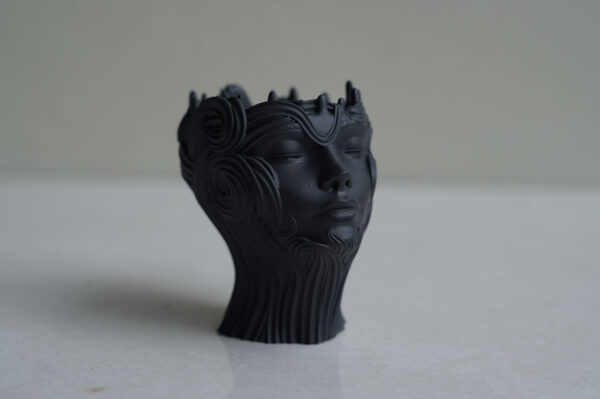Human Face Planter - Image 2